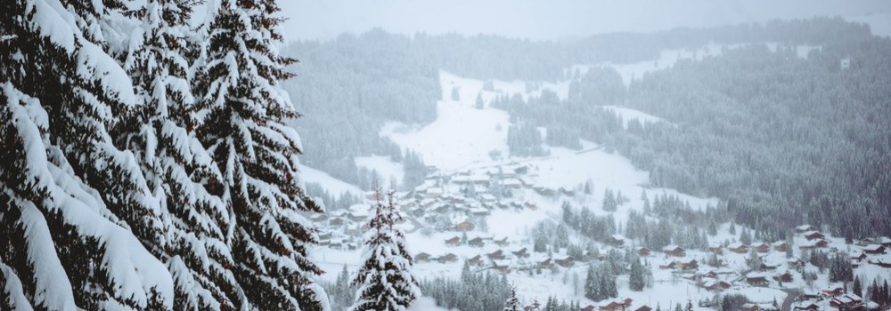 Les Gets Ski Chalets
